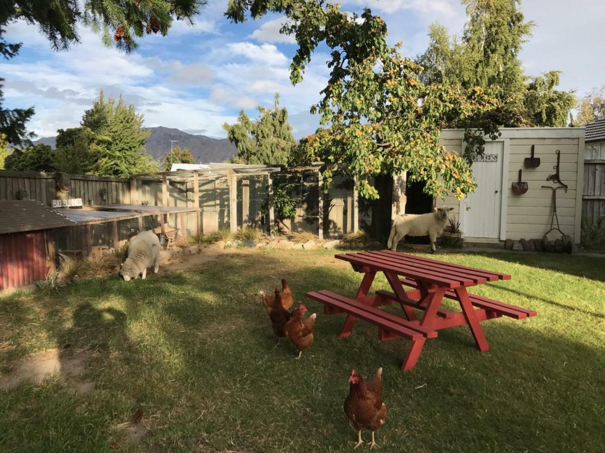 Tailor Made Tekapo Accommodation - Hostel Lake Tekapo Bagian luar foto